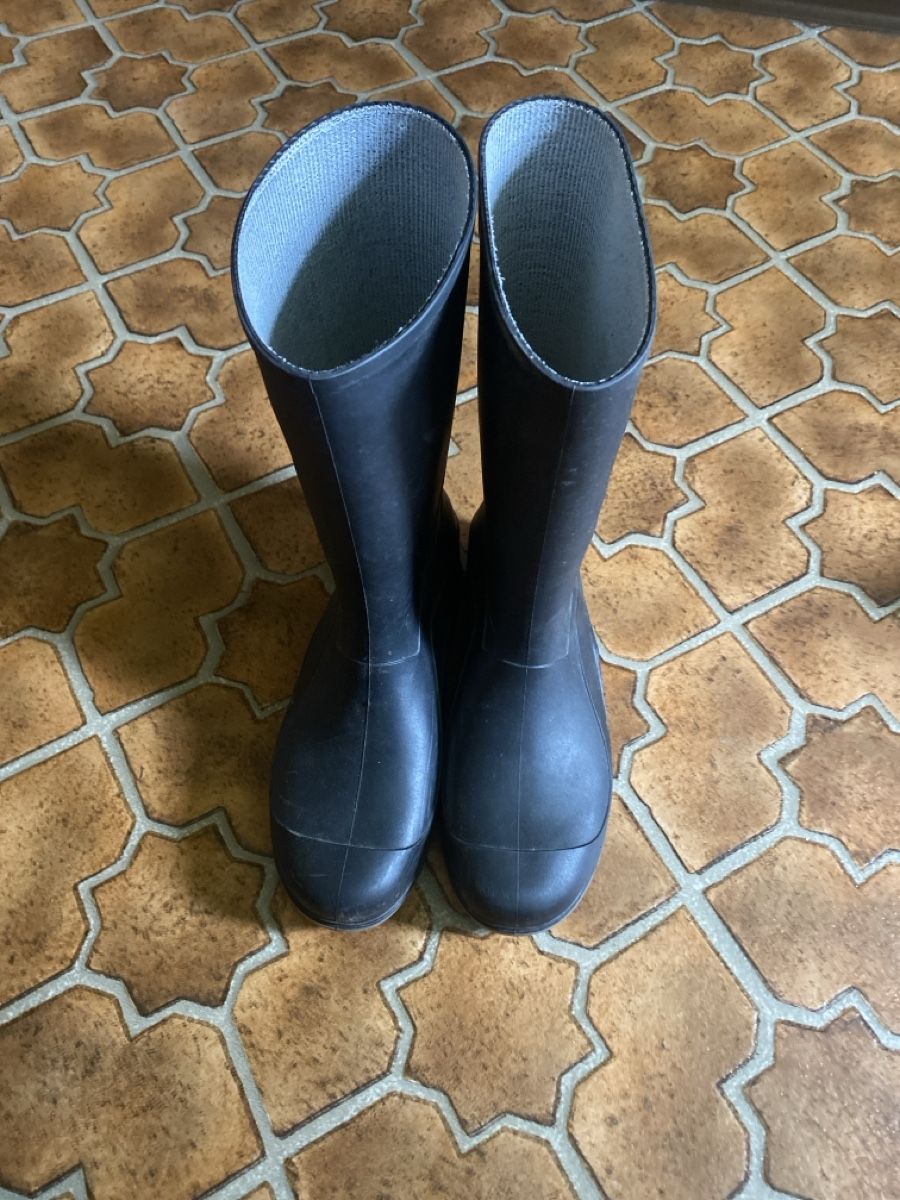 Scarpe da uomo: Regenstiefel Gr.36 – Usato da Heitenried venduto da Carmes