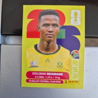 RSA 7 Panini FIFA WM 2026
