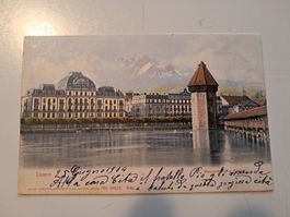 Lucerna bellissima