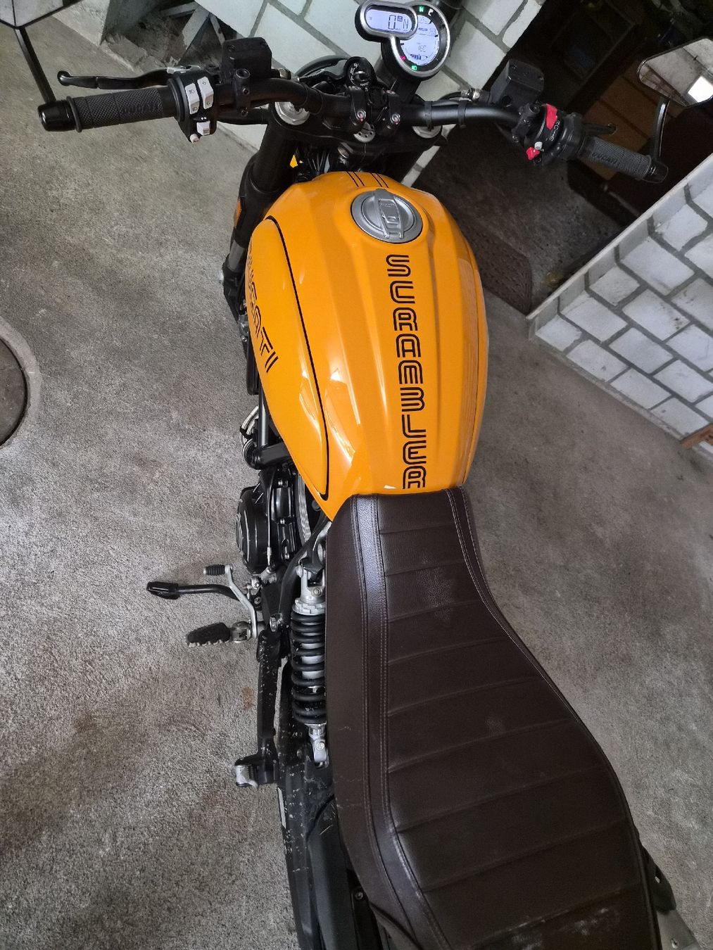 Ducati Strasse: Ducati Scrambler 1100 Tributo Pro – Gebraucht aus Walchwil von bia_892d 3