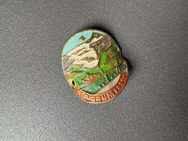 Stocknagel Alpgrüm biegsam sehr alt aus Sammlung Schweiz🤩