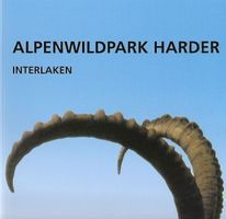 Alpenwildpark Harder Interlaken 1913-2013