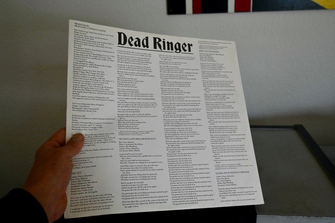 Dischi in vinile: Meat Loaf – Dead Ringer LP 1981 – Usato da Pfaffhausen venduto da mono_rec 8