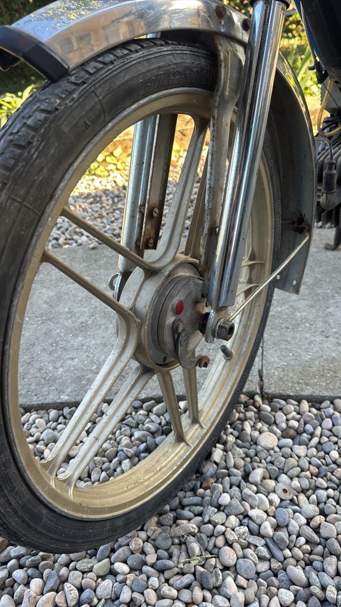 Cyclomoteurs: Puch Maxi N  – D'occasion à Yvonand par Hondaaaaaaa 6