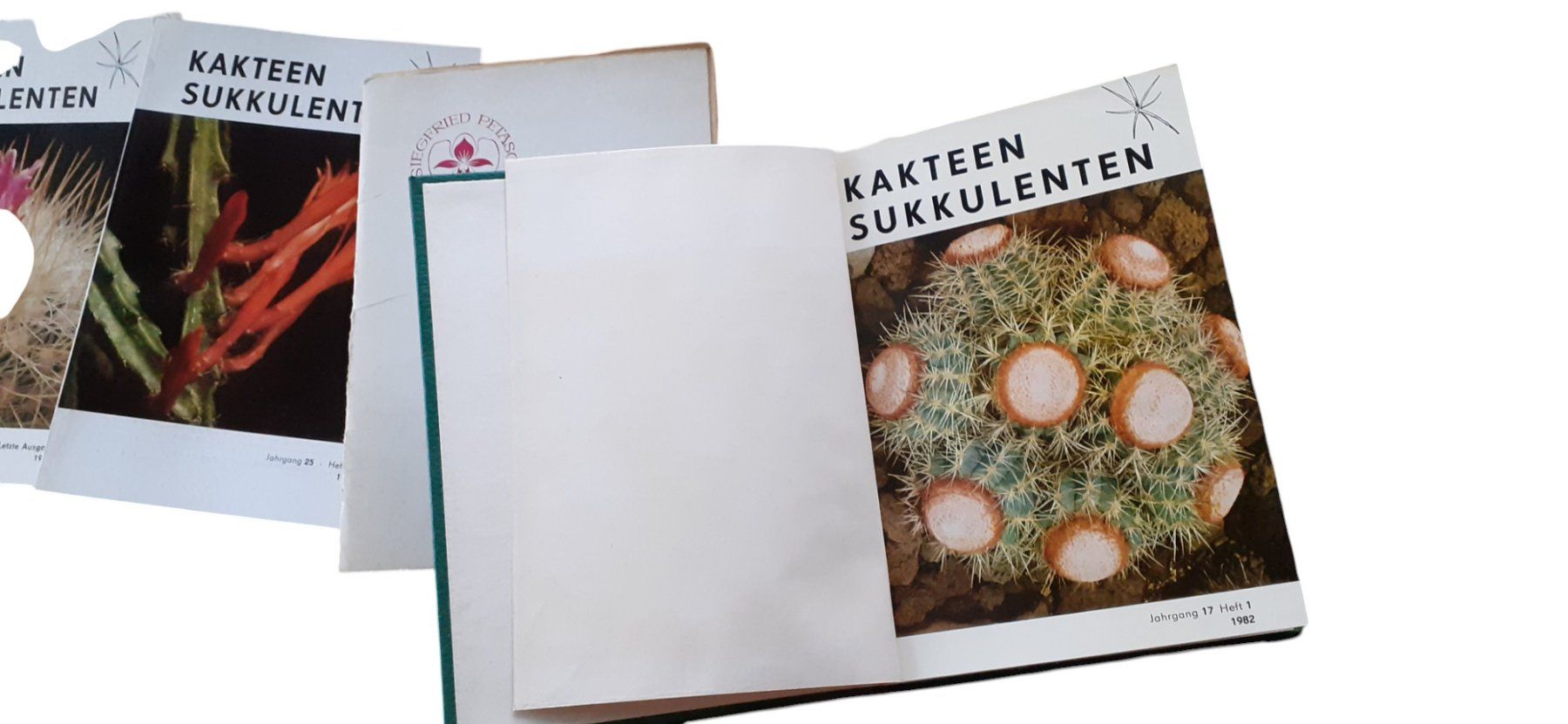 Bücher: Sammlung ca. 300 Kakteenbücher – Gebraucht aus Mörschwil von aik_x8mc 4