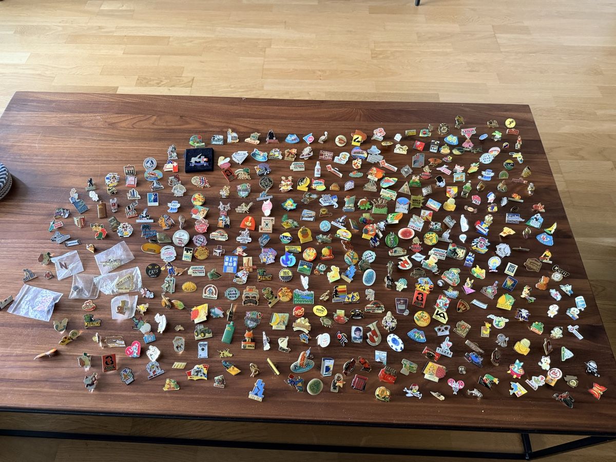 Swiss Plaketten & Abzeichen: PIN - Sammlung – Gebraucht aus Solothurn von NUVICO