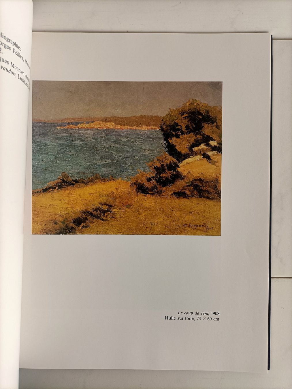 Libri: Regards sur les collections du musée de Pully / 1991 – Usato da crans montana venduto da AB3963 2