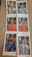 6× Panini Coca-Cola Sticker