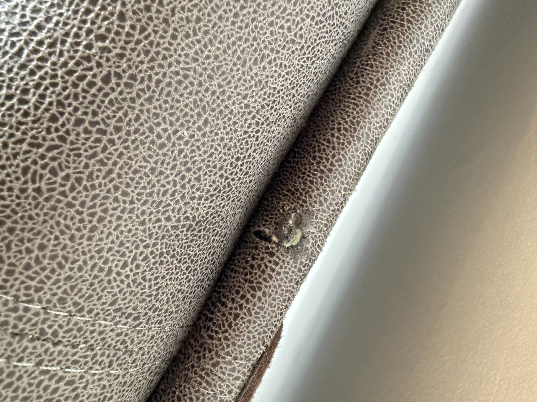 Panchine: Sitzbank für Esstisch – Usato da Herznach venduto da Sternbild21 2