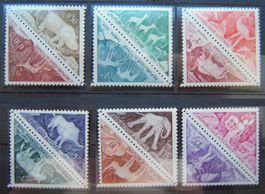 LOT TSCHAD PF