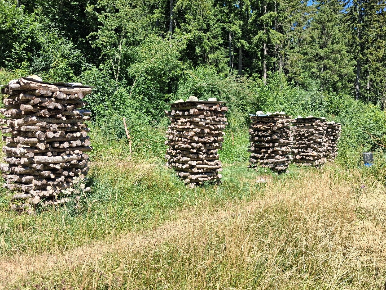 Articles en bois: Brennholz Hasel – Neuf (Voir description) à Herbetswil par ber_2kgk