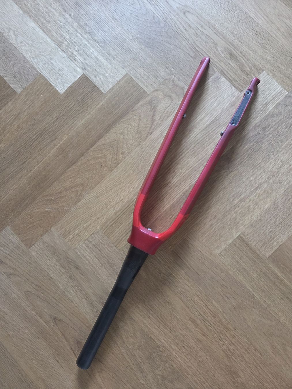 Thömus Pezzi di ricambio: Fahrradgabel Thömus Sliker x Ultimate Carbon – Nuovo (secondo la descrizione) da Wetzikon ZH venduto da fus_s8b2