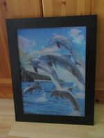 Delfin Bild, mit verschiedener Optik