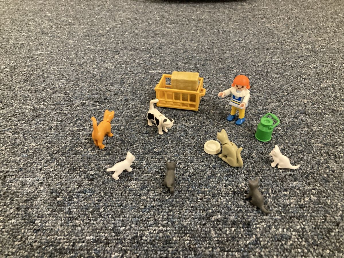Playmobil Giocattoli: Grosses Playmobil Bauernhof Set – Usato da Rorbas venduto da Astrafix 3