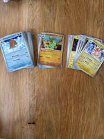Pokémon Bulk verschieden Sprachen alle glänzend
