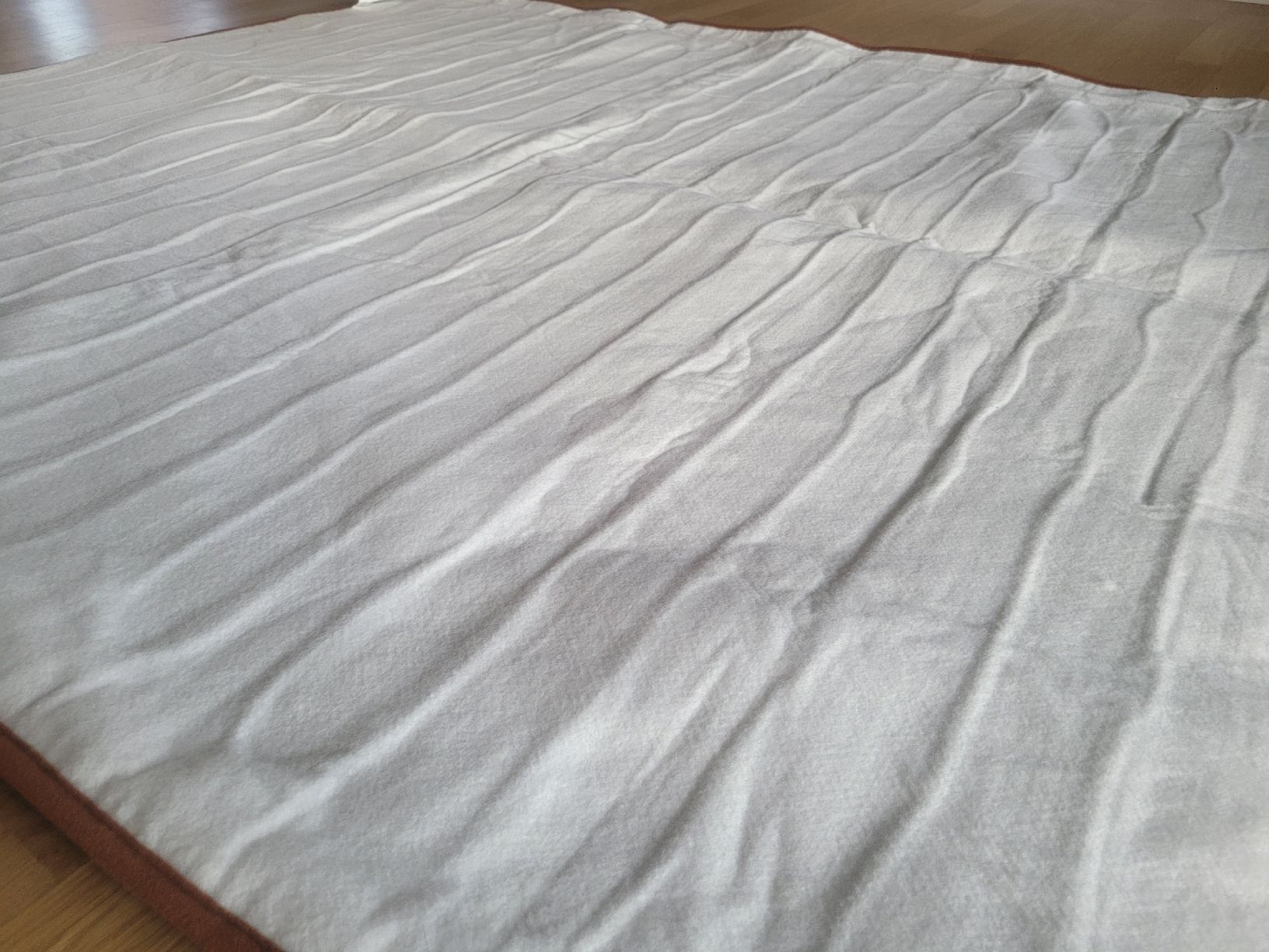 Coperte: Electric Blanket  – Usato da Zürich venduto da kyi_2rnz 2