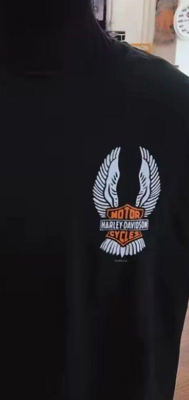 Harley-Davidson T-Shirts: Harley-Davidson T'Shirt; Gr. L / NEU – Neu (gemäss Beschreibung) aus Rothenburg von Bleonhard 1
