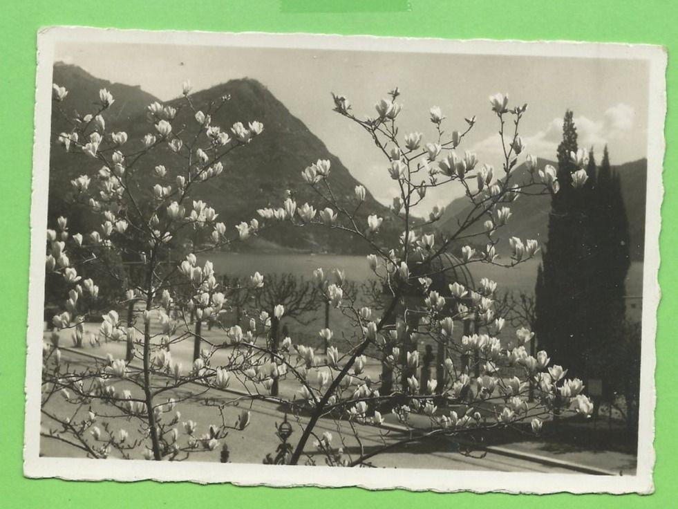 Cartoline postali: Lugano Quai u. Mte. Bré – Usato da Zürich venduto da t24_de