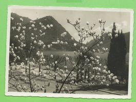 Lugano Quai u. Mte. Bré