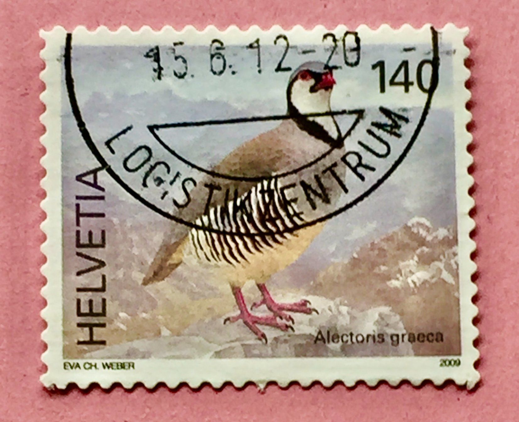 Tutti i francobolli: Nr.1306 Steinhuhn  Vögel  GESTEMPELT 2009    – Usato da Aarau venduto da Billa007