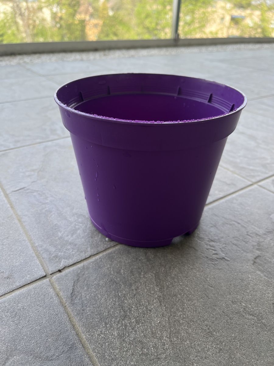 Vasi per fiori: 5 pots divers pour le jardinage – Usato da Mont-sur-Lausanne venduto da Pioutch