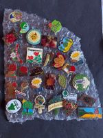 Pins Blumen