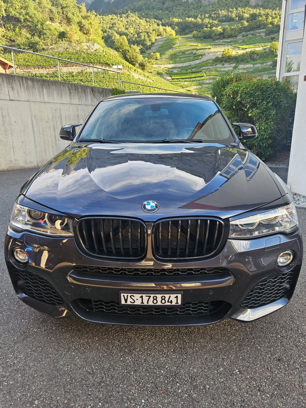 BMW Automobili: BMW X4 XDRIVE 28I – Usato da Chamoson venduto da veu_9ssd 3