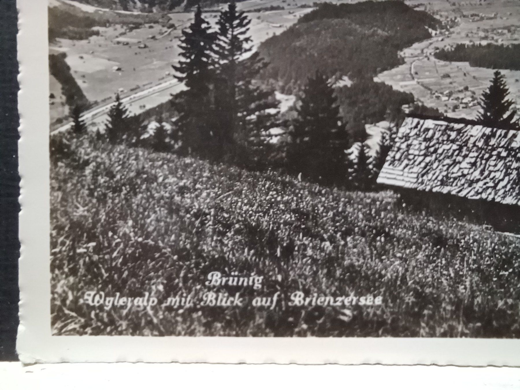 Ansichtskarten: BE, No. 2399, Wyleralp, 3.IX.51 – Gebraucht aus Aarau Rohr von mgvw 1
