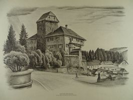 SCHLOSS FRAUENFELD, LITHO E.E. SCHLATTER