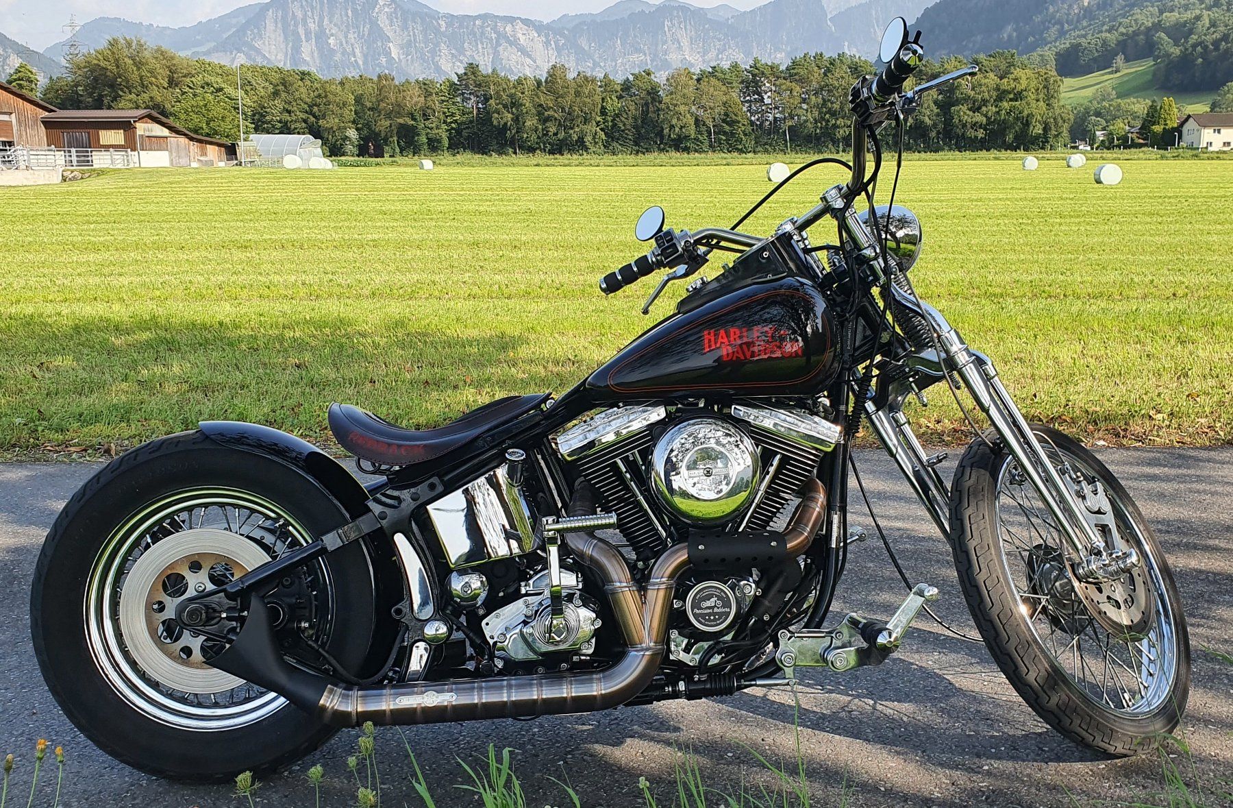 Harley-Davidson Chopper: Harley Davidson 93er Softail Springer "The Redback" – Usato da Aarwangen venduto da franky007 2