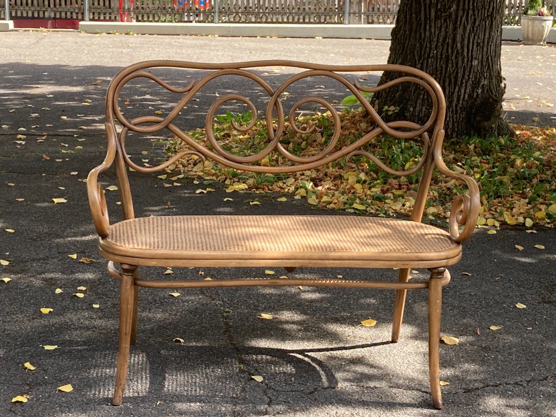Divani: Jugendstil Kanapee Sofa Thonet – Usato da Bottmingen venduto da ditschli63