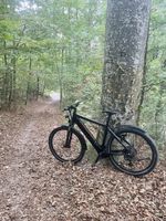 S-Pedelec (45 km/h) / E-MTB 2 in 1