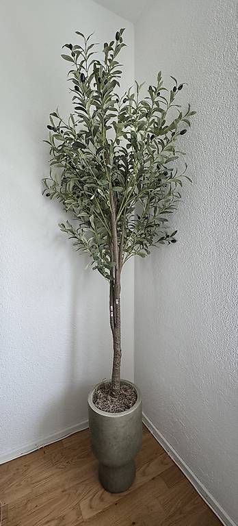 Piante & sementi: Künstlicher Olivenbaum – Usato da Zürich venduto da deb_3456 1