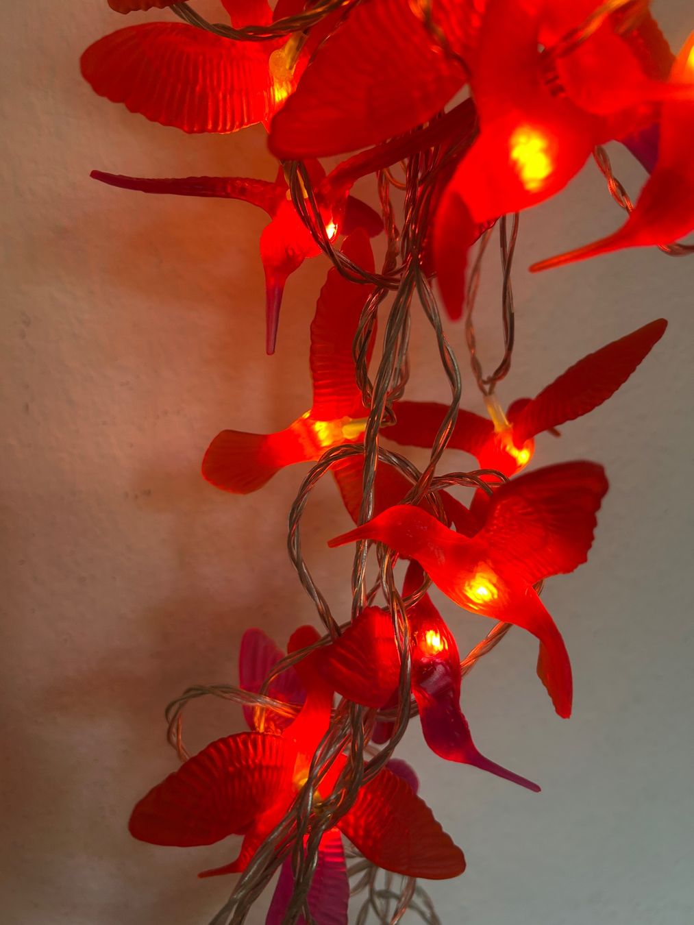Lichterketten & Leisten: Lichterkette Kolibri rot – Gebraucht aus bern von frauschenk 1