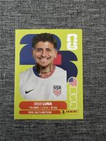Panini WM 2026 - USA 14