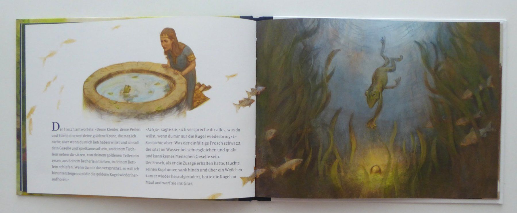 Libri: Märlibuch der Froschkönig – Usato da Aesch BL venduto da Kauri1 4