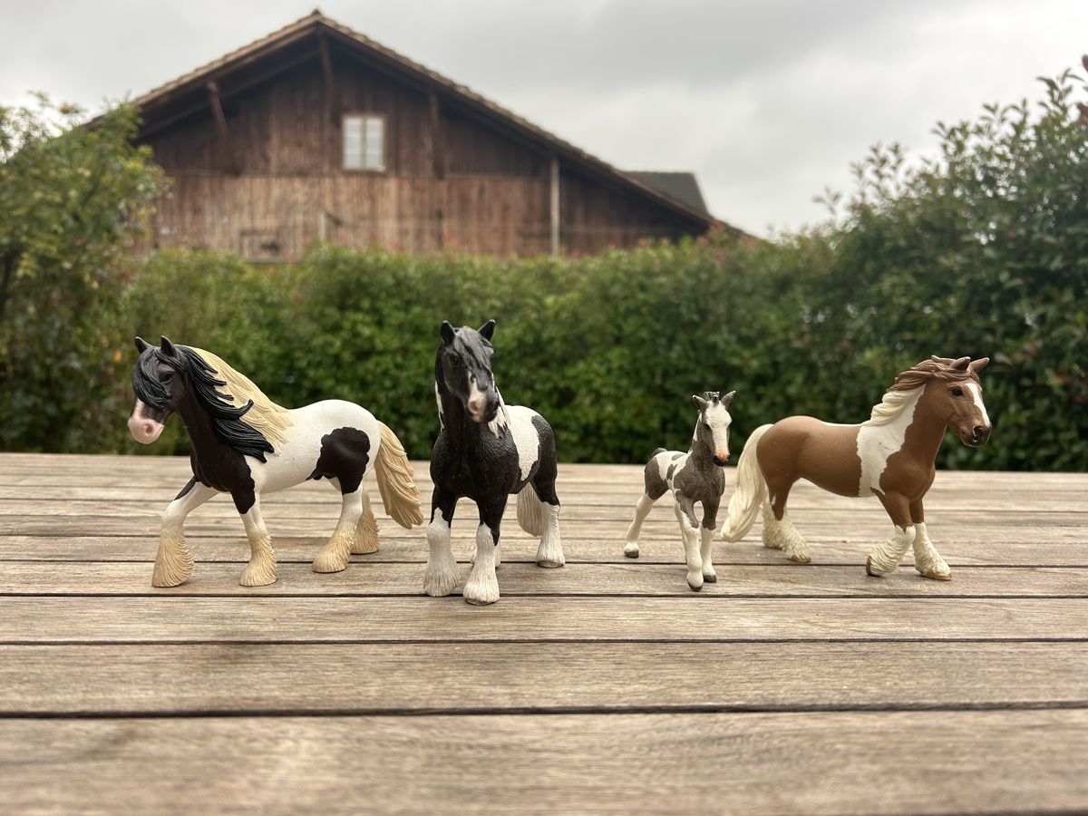 Schleich Jouets: Schleich Pferde, Tinker – D'occasion à Mägenwil par Australia19