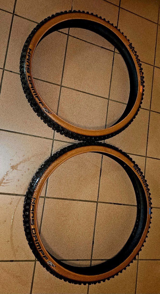 Pezzi di ricambio: schwalbe hans dampf 29x2 6  2 Stück – Nuovo (secondo la descrizione) da Laupen ZH venduto da Acf2000