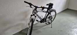 Leopard Tiger Cat Velo Mountainbike