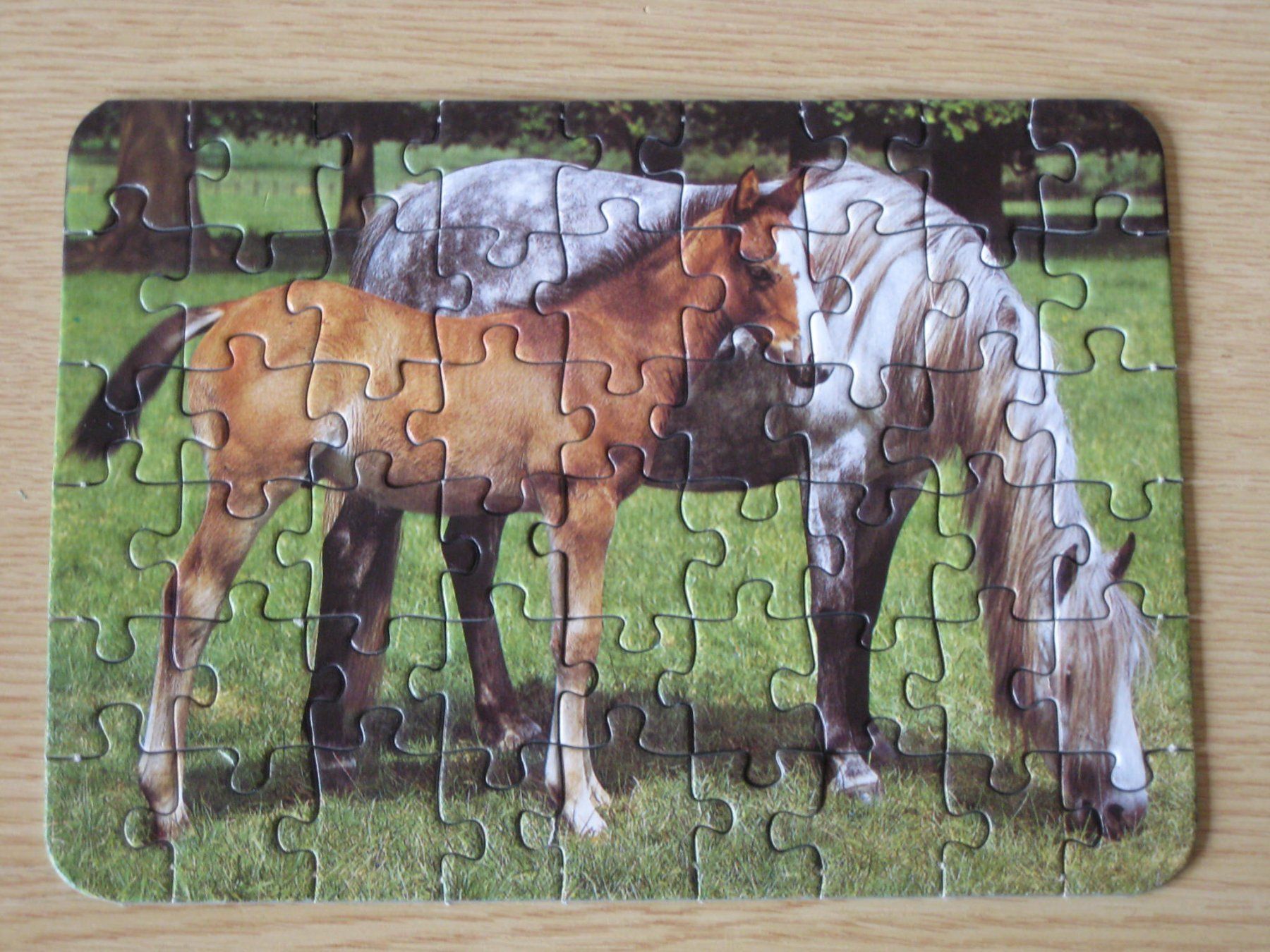 Puzzle: Mini - Puzzle 54 Teile, Pferd mit Fohlen – Usato da Greifensee venduto da Janali01