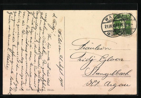 Cartoline postali: AK Wald, Totalansicht des Ortes – Usato da Berlin venduto da bartko-reher 1