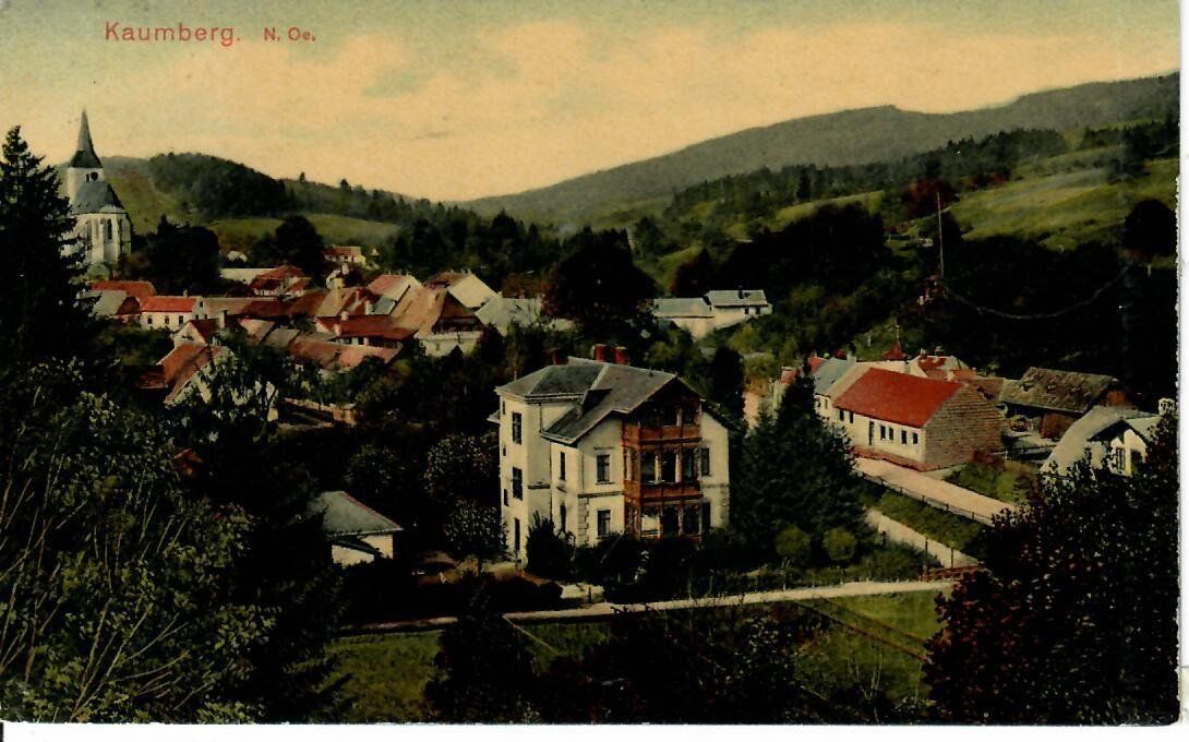 Cartes postales: Kaumberg N.Oe. – D'occasion à Hochdorf par Ziegel-16
