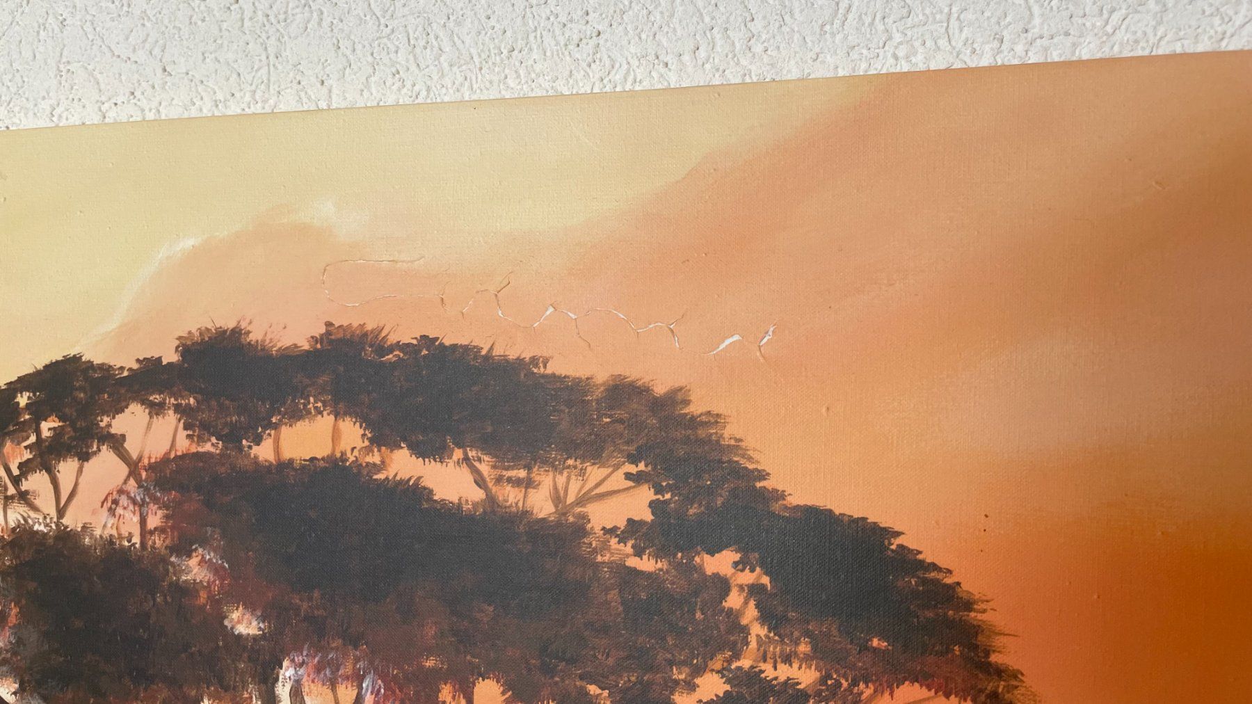 Tutte le decorazioni: Décor Typique africain savane Poster avec cadre – Usato da Payerne venduto da msn_2kjl 1