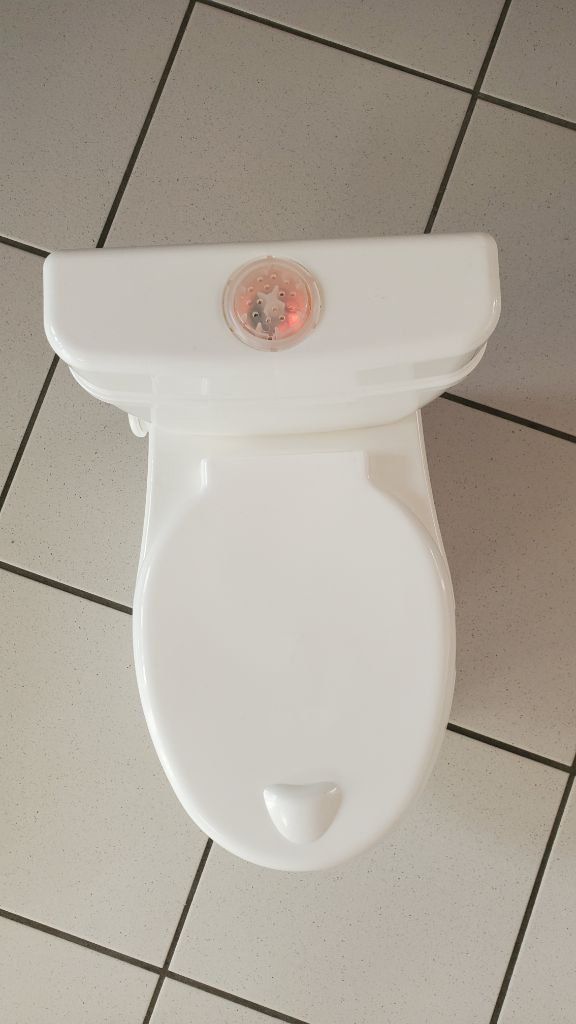 WC: Kindertoilettentrainer, top Zustand – Usato da Courtaman venduto da Silb 2