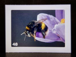 MIGROS MANIA Nature Detectives Nr. 48