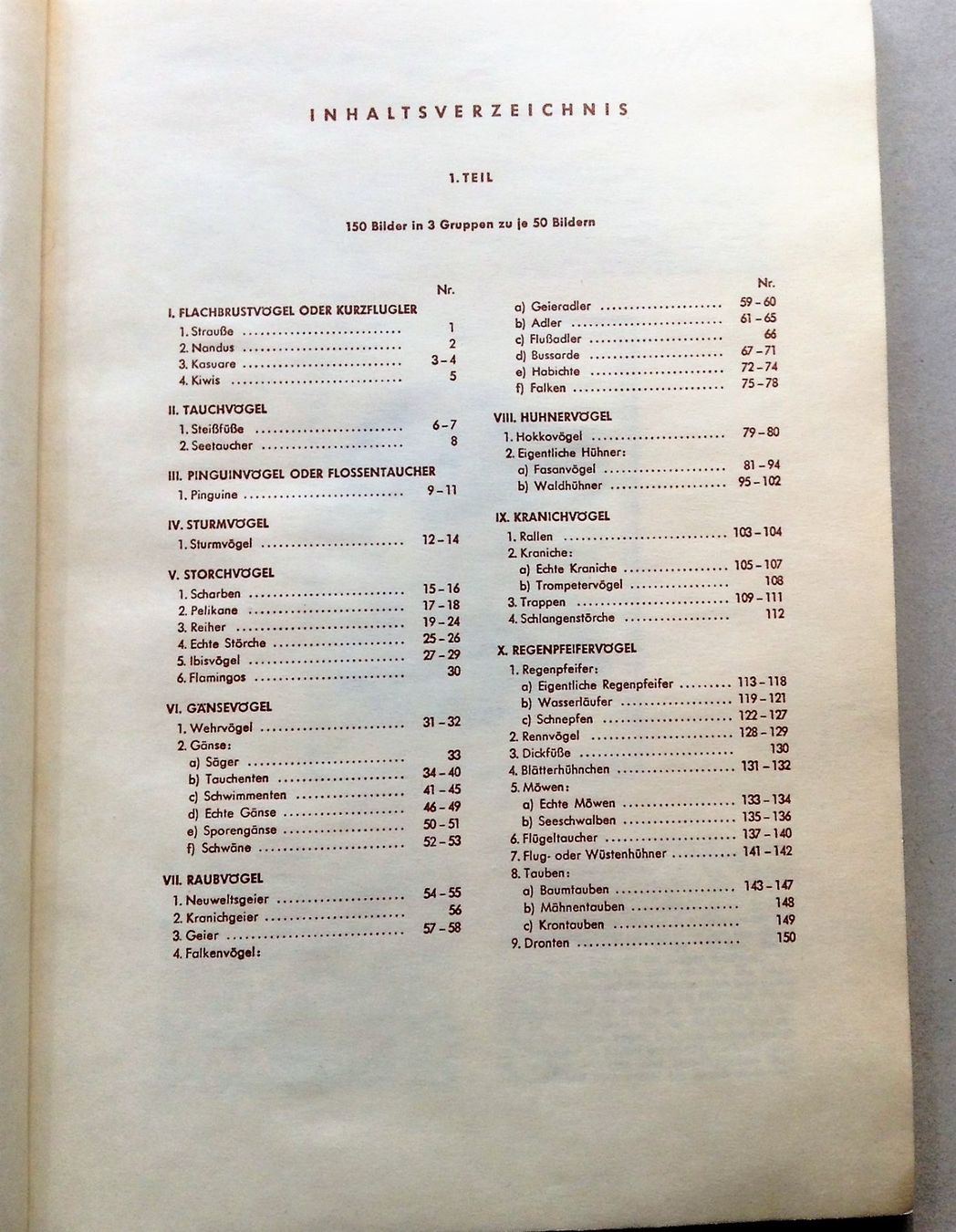 Libri: Buch: Bunte Vögel aus aller Welt – Usato da Alpnach Dorf venduto da MZ001 8