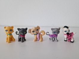 Polly Pocket Katzen,Hund,Zebra aus den frühen 2000er
