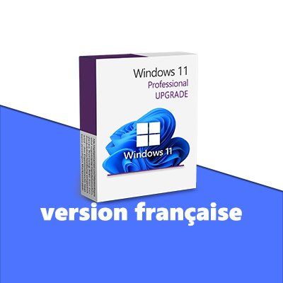 Microsoft Applications: Windows 11 Pro Upgrade (2PC) – D'occasion à Vaduz par KeysDistributionGmbH