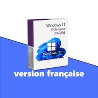 Windows 11 Pro Upgrade