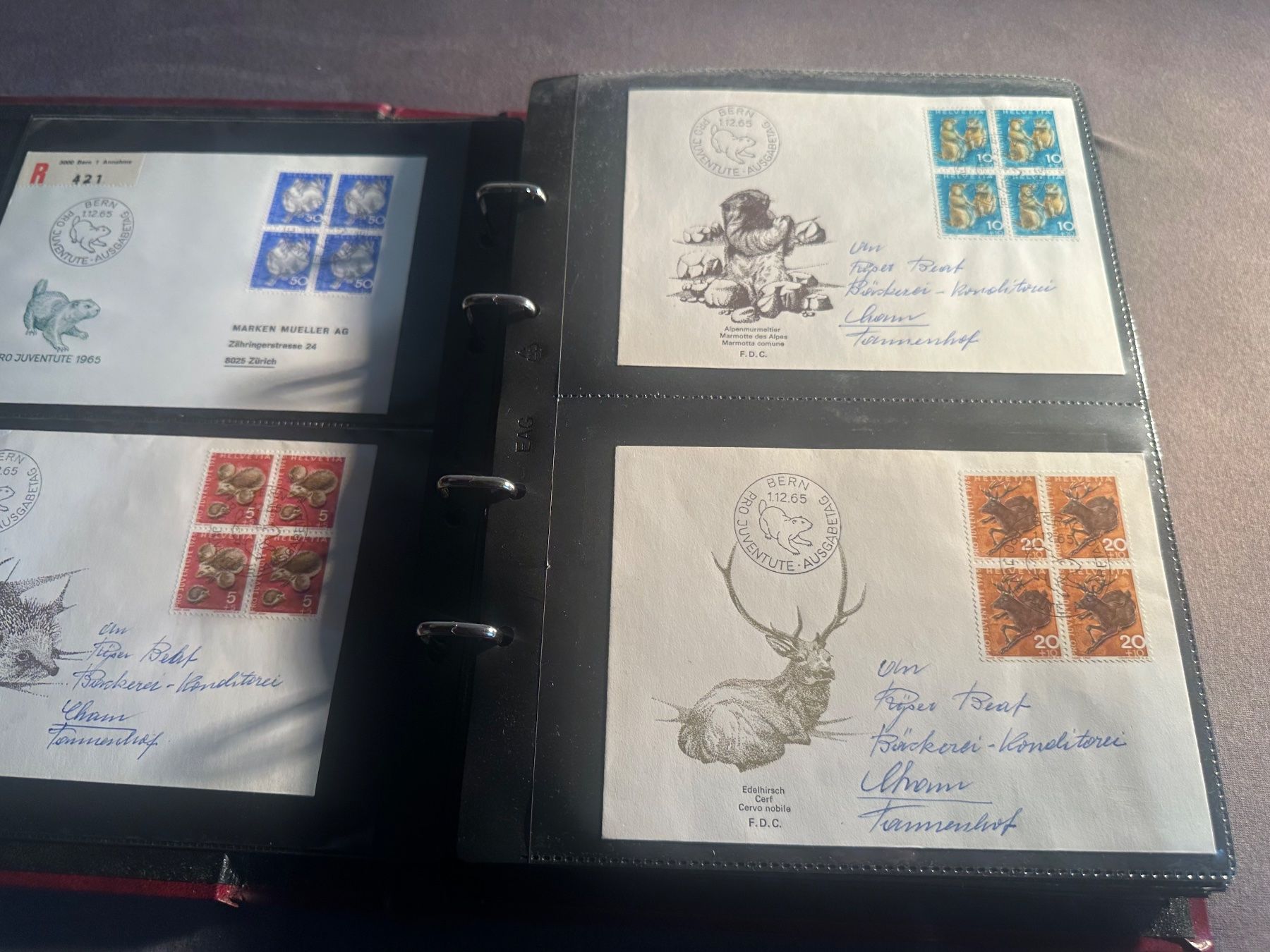 Tutti i francobolli: Sammlung Pro Juventute ab 1965 Briefe, FDC Schweiz – Usato da Stettfurt venduto da 2442 2